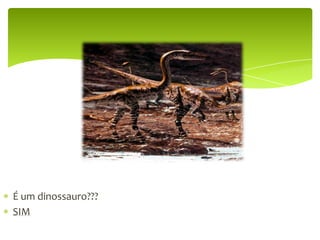 É um dinossauro???NÃO