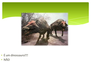 É um dinossauro???NÃO