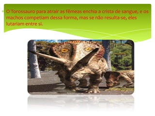 O Torossauro para atrair as fêmeas enchia a crista de sangue, e os machos competiam dessa forma, mas se não resulta-se, eles lutariam entre si.