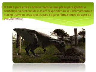 O T-REX para atrair a fêmea mataria uma presa para ganhar a confiança da pretendida e assim responder ao seu chamamento. O macho usava os seus braços para coçar a fêmea antes do acto de acasalamento.