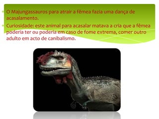 O Majungassauros para atrair a fêmea fazia uma dança de acasalamento.Curiosidade: este animal para acasalar matava a cria que a fêmea poderia ter ou poderia em caso de fome extrema, comer outro adulto em acto de canibalismo.