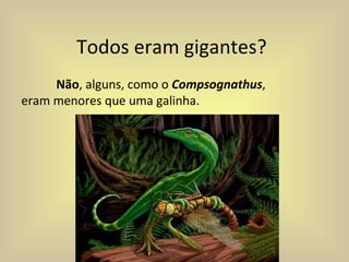 Todos eram gigantes? Não , alguns, como o  Compsognathus ,  eram menores que uma galinha.  