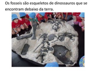 Os fosseis são esqueletos de dinossauros que se
encontram debaixo da terra.
 