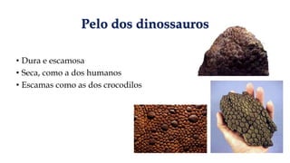 Pelo dos dinossauros
• Dura e escamosa
• Seca, como a dos humanos
• Escamas como as dos crocodilos
 