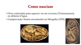 Como nasciam
• Ovos: enterrados para aquecer, ou em cavernas (Tiranossauros),
ou debaixo d’água.
• Comprovação: fósseis encontrados na Mongólia (1923)
 