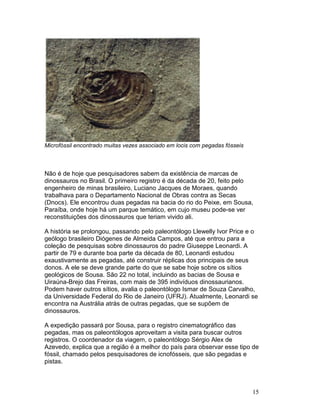 15
Microfóssil encontrado muitas vezes associado em locis com pegadas fósseis
Não é de hoje que pesquisadores sabem da existência de marcas de
dinossauros no Brasil. O primeiro registro é da década de 20, feito pelo
engenheiro de minas brasileiro, Luciano Jacques de Moraes, quando
trabalhava para o Departamento Nacional de Obras contra as Secas
(Dnocs). Ele encontrou duas pegadas na bacia do rio do Peixe, em Sousa,
Paraíba, onde hoje há um parque temático, em cujo museu pode-se ver
reconstituições dos dinossauros que teriam vivido ali.
A história se prolongou, passando pelo paleontólogo Llewelly Ivor Price e o
geólogo brasileiro Diógenes de Almeida Campos, até que entrou para a
coleção de pesquisas sobre dinossauros do padre Giuseppe Leonardi. A
partir de 79 e durante boa parte da década de 80, Leonardi estudou
exaustivamente as pegadas, até construir réplicas dos principais de seus
donos. A ele se deve grande parte do que se sabe hoje sobre os sítios
geológicos de Sousa. São 22 no total, incluindo as bacias de Sousa e
Uiraúna-Brejo das Freiras, com mais de 395 indivíduos dinossaurianos.
Podem haver outros sítios, avalia o paleontólogo Ismar de Souza Carvalho,
da Universidade Federal do Rio de Janeiro (UFRJ). Atualmente, Leonardi se
encontra na Austrália atrás de outras pegadas, que se supõem de
dinossauros.
A expedição passará por Sousa, para o registro cinematográfico das
pegadas, mas os paleontólogos aproveitam a visita para buscar outros
registros. O coordenador da viagem, o paleontólogo Sérgio Alex de
Azevedo, explica que a região é a melhor do país para observar esse tipo de
fóssil, chamado pelos pesquisadores de icnofósseis, que são pegadas e
pistas.
 