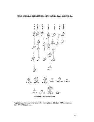 17
Pegadas de dinossauros encontradas na região de São Luis (MA), em rochas
com 80 milhões de anos
 