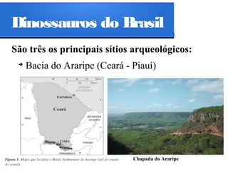 Dinossauros do Brasil
São três os principais sítios arqueológicos:
➔

Bacia do Araripe (Ceará - Piauí)

Chapada do Araripe

 