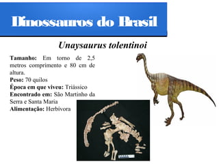 Dinossauros do Brasil
Unaysaurus tolentinoi
Tamanho: Em torno de 2,5
metros comprimento e 80 cm de
altura.
Peso: 70 quilos
Época em que viveu: Triássico
Encontrado em: São Martinho da
Serra e Santa Maria
Alimentação: Herbívora

 