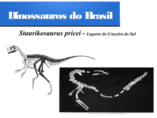 Dinossauros do Brasil
Staurikosaurus pricei - Lagarto do Cruzeiro do Sul

 