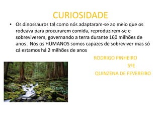 PORQUE SE EXTINGUIRAM OS DINOSSAUROS?Há cerca de 65 milhões de anos ocorreram algumas catástrofes que mudaram para sempre a vida na terra .Assim os dinossauros e outros seres vivos acabaram por completoCOMO?A deslocação dos continentes do planeta originou um intenso período de terramotos e de erupções vulcânicas fumo, cinzas e gases venenosos que encheram a atmosfera, obstruindo o sol A TERRA  tornou-se demasiada fria para a sobrevivência dos dinossauros Bem como no fim do período cretáceo os mamíferos também cada vez eram mais e comiam os ovos de dinossauro que estavam desprotegidos Assim a população de dinossauros acabou extinta