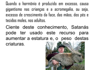 Quando o hormônio é produzido em excesso, causa
gigantismo nas crianças e a acromegalia, ou seja,
excesso de crescimento da face, das mãos, dos pés e
tecidos moles, nos adultos.
Ciente deste conhecimento, Satanás
pode ter usado este recurso para
aumentar a estatura e, o peso destas
criaturas.
 