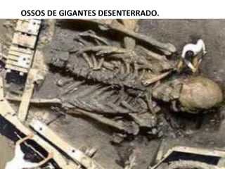 OSSOS DE GIGANTES DESENTERRADO.
 