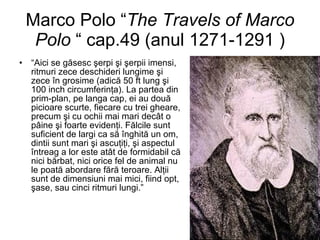 Marco Polo “ The Travels of Marco Polo   “ cap.49 (anul  1271-1291  ) “ Aici se găsesc şerpi şi şerpii imensi, ritmuri zece deschideri lungime şi zece în grosime (adică 50 ft lung şi 100 inch circumferinţa). La partea din prim-plan, pe langa cap, ei au două picioare scurte, fiecare cu trei gheare, precum şi cu ochii mai mari decât o pâine şi foarte evidenţi. Fălcile sunt suficient de largi ca să înghită un om, dintii sunt mari şi ascuţiţi, şi aspectul întreag a lor este atât de formidabil că nici bărbat, nici orice fel de animal nu le poată abordare fără teroare. Alţii sunt de dimensiuni mai mici, fiind opt, şase, sau cinci ritmuri lungi.” 