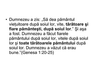 Dumnezeu a zis: „Să dea pământul vieţuitoare după soiul lor, vite,  târâtoare şi fiare pământeşti, după soiul lor .” Şi aşa a fost. Dumnezeu a făcut fiarele pământului după soiul lor, vitele după soiul lor şi  toate târâtoarele pământului  după soiul lor. Dumnezeu a văzut că erau bune.”(Genesa 1:20-25) 
