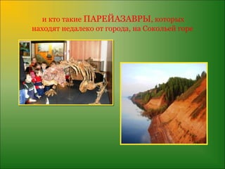 и кто такие ПАРЕЙАЗАВРЫ, которых
находят недалеко от города, на Сокольей горе
 