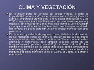 CLIMA Y VEGETACIÓNCLIMA Y VEGETACIÓN
En la mayor parte del territorio del estado Vargas, el clima esEn la mayor parte del territorio del estado Vargas, el clima es
tropical-cálido o semiárido, especialmente en La Guaira y Catia Latropical-cálido o semiárido, especialmente en La Guaira y Catia La
Mar. La temperatura promedio de la zona oscila entre los 25°C y losMar. La temperatura promedio de la zona oscila entre los 25°C y los
28°C, con pocas variaciones térmicas y precipitaciones irregulares y28°C, con pocas variaciones térmicas y precipitaciones irregulares y
escasas. Sin embargo en zonas más altas como El Junko, Galipánescasas. Sin embargo en zonas más altas como El Junko, Galipán
y Carayaca, el clima es tropical templado, mientras que en el restoy Carayaca, el clima es tropical templado, mientras que en el resto
del territorio se puede apreciar un clima tropical húmedo con pocadel territorio se puede apreciar un clima tropical húmedo con poca
pluviosidad.pluviosidad.
El clima seco y caliente de algunas zonas, debido a la disposiciónEl clima seco y caliente de algunas zonas, debido a la disposición
de las montañas cerca del mar y la erosión de los suelos, marcade las montañas cerca del mar y la erosión de los suelos, marca
una vegetación característica de tipo xerófila como matorrales,una vegetación característica de tipo xerófila como matorrales,
espinales y cardonales, pero también especies típicas de losespinales y cardonales, pero también especies típicas de los
bosques secos tropicales como el Cují, La Ceiba y el Jabillo. Lasbosques secos tropicales como el Cují, La Ceiba y el Jabillo. Las
condiciones cambian en las zonas más altas, donde temperaturascondiciones cambian en las zonas más altas, donde temperaturas
más bajas y un mayor grado de humedad, produce especies de losmás bajas y un mayor grado de humedad, produce especies de los
bosques tropicales húmedos como el Cedro, la Caoba, el Samán ybosques tropicales húmedos como el Cedro, la Caoba, el Samán y
el Apamate.el Apamate.
 