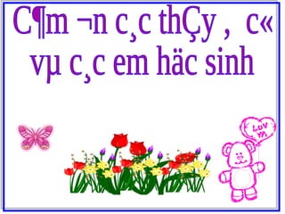 Diện tích tam giác