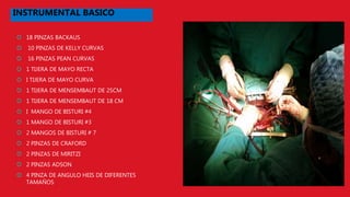  18 PINZAS BACKAUS
 10 PINZAS DE KELLY CURVAS
 16 PINZAS PEAN CURVAS
 1 TIJERA DE MAYO RECTA
 I TIJERA DE MAYO CURVA
 1 TIJERA DE MENSEMBAUT DE 25CM
 1 TIJERA DE MENSEMBAUT DE 18 CM
 I MANGO DE BISTURI #4
 1 MANGO DE BISTURI #3
 2 MANGOS DE BISTURI # 7
 2 PINZAS DE CRAFORD
 2 PINZAS DE MIRITZI
 2 PINZAS ADSON
 4 PINZA DE ANGULO HEIS DE DIFERENTES
TAMAÑOS
INSTRUMENTAL BASICO
 