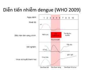 Diễn tiến nhiễm dengue (WHO 2009)
 