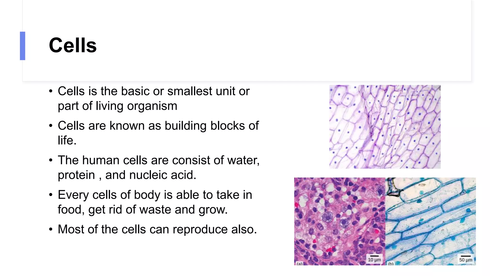 Cells
• Cells is the basic or smallest unit or
part of living organism
• Cells are known as building blocks of
life.
• The human cells are consist of water,
protein , and nucleic acid.
• Every cells of body is able to take in
food, get rid of waste and grow.
• Most of the cells can reproduce also.
 