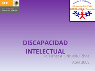 DISCAPACIDAD INTELECTUAL Lic. Lisbet A. Brizuela Ochoa Abril 2009 