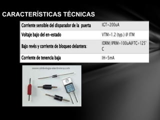 CARACTERÍSTICAS TÉCNICAS
 