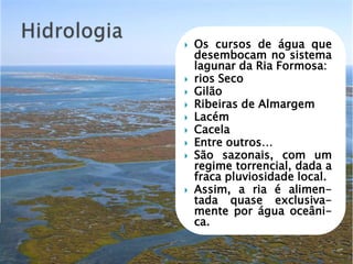  Os cursos de água que
desembocam no sistema
lagunar da Ria Formosa:
 rios Seco
 Gilão
 Ribeiras de Almargem
 Lacém
 Cacela
 Entre outros…
 São sazonais, com um
regime torrencial, dada a
fraca pluviosidade local.
 Assim, a ria é alimen-
tada quase exclusiva-
mente por água oceâni-
ca.
 
