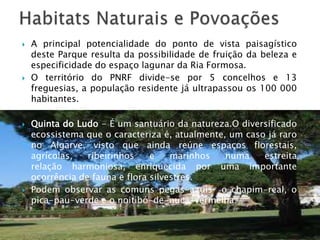  A principal potencialidade do ponto de vista paisagístico
deste Parque resulta da possibilidade de fruição da beleza e
especificidade do espaço lagunar da Ria Formosa.
 O território do PNRF divide-se por 5 concelhos e 13
freguesias, a população residente já ultrapassou os 100 000
habitantes.
 Quinta do Ludo - É um santuário da natureza.O diversificado
ecossistema que o caracteriza é, atualmente, um caso já raro
no Algarve, visto que ainda reúne espaços florestais,
agrícolas, ribeirinhos e marinhos numa estreita
relação harmoniosa, enriquecida por uma importante
ocorrência de fauna e flora silvestres.
 Podem observar as comuns pegas-azuis o chapim-real, o
pica-pau-verde e o noitibó-de-nuca-vermelha.
 