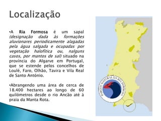 •A Ria Formosa é um sapal
(designação dada às formações
aluvionares periodicamente alagadas
pela água salgada e ocupadas por
vegetação halofítica ou, nalguns
casos, por mantos de sal) situado na
província do Algarve em Portugal,
que se estende pelos concelhos de
Loulé, Faro, Olhão, Tavira e Vila Real
de Santo António.
•Abrangendo uma área de cerca de
18.400 hectares ao longo de 60
quilómetros desde o rio Ancão até à
praia da Manta Rota.
 