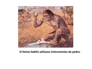 O Homo habilis utilizava instrumentos de pedra.
