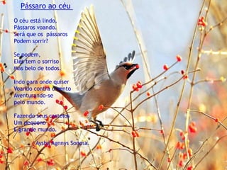 Pássaro ao céu
O céu está lindo,
Pássaros voando.
Será que os pássaros
Podem sorrir?
Se podem,
Eles tem o sorriso
Mas belo de todos.
Indo para onde quiser
Voando contra o vento
Aventurando-se
pelo mundo.
Fazendo seus castelos
Um pequeno
E grande mundo.
Aysha Agnnys Sonosa.
 