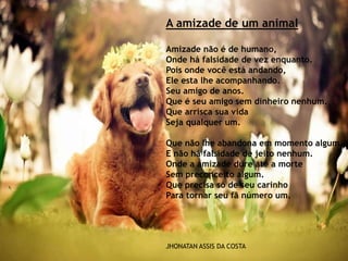 A amizade de um animal
Amizade não é de humano,
Onde há falsidade de vez enquanto.
Pois onde você está andando,
Ele esta lhe acompanhando.
Seu amigo de anos.
Que é seu amigo sem dinheiro nenhum.
Que arrisca sua vida
Seja qualquer um.
Que não lhe abandona em momento algum.
E não há falsidade de jeito nenhum.
Onde a amizade dure até a morte
Sem preconceito algum.
Que precisa só de seu carinho
Para tornar seu fã número um.
JHONATAN ASSIS DA COSTA
 