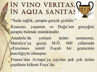 n vino veritas,İ
n aqua sanitas.İ
“Suda sağlık, şarapta gerçek gizlidir.”
Kısacası, yaşamın ve Doğa’nın gerçeğini
şarapta bulmak mümkündür.
Anadolu’da yetişen üzüm asmasının,
Marsilya’ya geçişi M.Ö. 600 yıllarında
«Euxenus» isimli Foçalı bir gemicinin
aracılığıyla olmuştur.
Fransa’dan Avrupa’ya yayılan pek çok üzüm
çeşidinin kökeni Foça’dır.
 