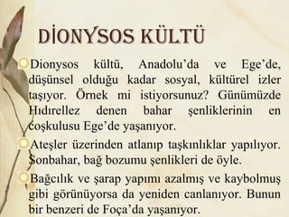 D ONYsOs KÜLTÜİ
Dionysos kültü, Anadolu’da ve Ege’de,
düşünsel olduğu kadar sosyal, kültürel izler
taşıyor. Örnek mi istiyorsunuz? Günümüzde
Hıdırellez denen bahar şenliklerinin en
coşkulusu Ege’de yaşanıyor.
Ateşler üzerinden atlanıp taşkınlıklar yapılıyor.
Sonbahar, bağ bozumu şenlikleri de öyle.
Bağcılık ve şarap yapımı azalmış ve kaybolmuş
gibi görünüyorsa da yeniden canlanıyor. Bunun
bir benzeri de Foça’da yaşanıyor.
 