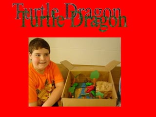 Turtle Dragon
