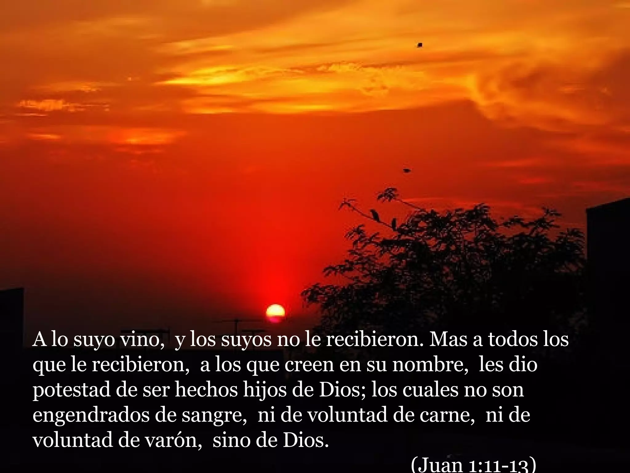 A lo suyo vino,  y los suyos no le recibieron. Mas a todos los que le recibieron,  a los que creen en su nombre,  les dio potestad de ser hechos hijos de Dios; los cuales no son engendrados de sangre,  ni de voluntad de carne,  ni de voluntad de varón,  sino de Dios.  (Juan 1:11-13) 