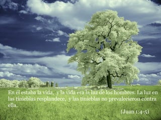 En él estaba la vida,  y la vida era la luz de los hombres. La luz en las tinieblas resplandece,  y las tinieblas no prevalecieron contra ella.  (Juan 1:4-5) 