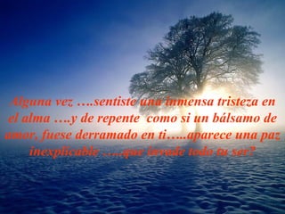 Algu n a vez ….sentiste u n a i n mensa tristeza  en el  alma …. y  de repente  como s i  u n  bálsamo de amor, f ue se derramado en ti….. aparece  u n a paz inexplic able  ….. que  invade  todo  tu ser? 