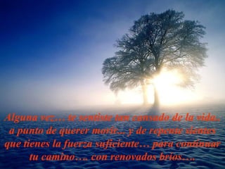 Algu n a vez… te sentiste t an  cansado d e la  vida.. a p u nto de querer mor i r...  y  de repente s i entes que t i en e s  la  f uerz a suficiente… para continuar tu camino…. con renovados bríos…. 