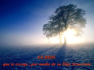 ES  D IO S  que te  escoge  .. por medio  de su Hijo Jesucristo 