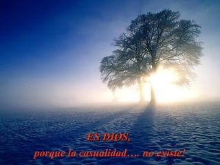 ES  D IO S,  porque  la casualidad…. no  existe! 