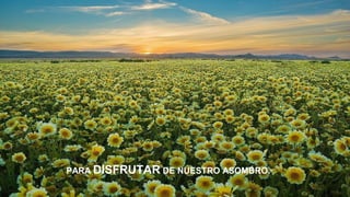 PARA DISFRUTAR DE NUESTRO ASOMBRO.

 