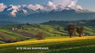 SI TE DEJAS SORPRENDER.

 