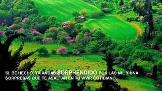 SI, DE HECHO, YA ANDAS SORPRENDIDO POR LAS MIL Y UNA
SORPRESAS QUE TE ASALTAN EN TU VIVIR COTIDIANO…

 