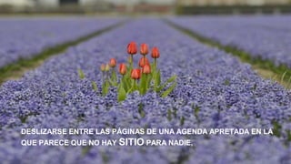 DESLIZARSE ENTRE LAS PÁGINAS DE UNA AGENDA APRETADA EN LA
QUE PARECE QUE NO HAY SITIO PARA NADIE,

 