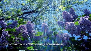 ¡YA LO CREO QUE A DIOS LE GUSTA SORPRENDER!

 