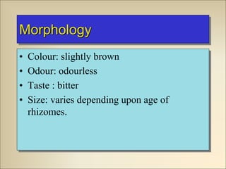 Morphology
• Colour: slightly brown
• Odour: odourless
• Taste : bitter
• Size: varies depending upon age of
rhizomes.
 