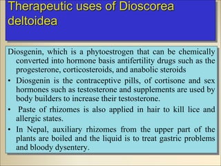 Therapeutic uses of Dioscorea
deltoidea
Diosgenin, which is a phytoestrogen that can be chemically
converted into hormone basis antifertility drugs such as the
progesterone, corticosteroids, and anabolic steroids
• Diosgenin is the contraceptive pills, of cortisone and sex
hormones such as testosterone and supplements are used by
body builders to increase their testosterone.
• Paste of rhizomes is also applied in hair to kill lice and
allergic states.
• In Nepal, auxiliary rhizomes from the upper part of the
plants are boiled and the liquid is to treat gastric problems
and bloody dysentery.
 