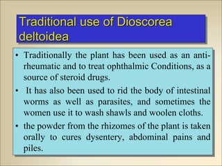 Traditional use of Dioscorea
deltoidea
• Traditionally the plant has been used as an anti-
rheumatic and to treat ophthalmic Conditions, as a
source of steroid drugs.
• It has also been used to rid the body of intestinal
worms as well as parasites, and sometimes the
women use it to wash shawls and woolen cloths.
• the powder from the rhizomes of the plant is taken
orally to cures dysentery, abdominal pains and
piles.
 